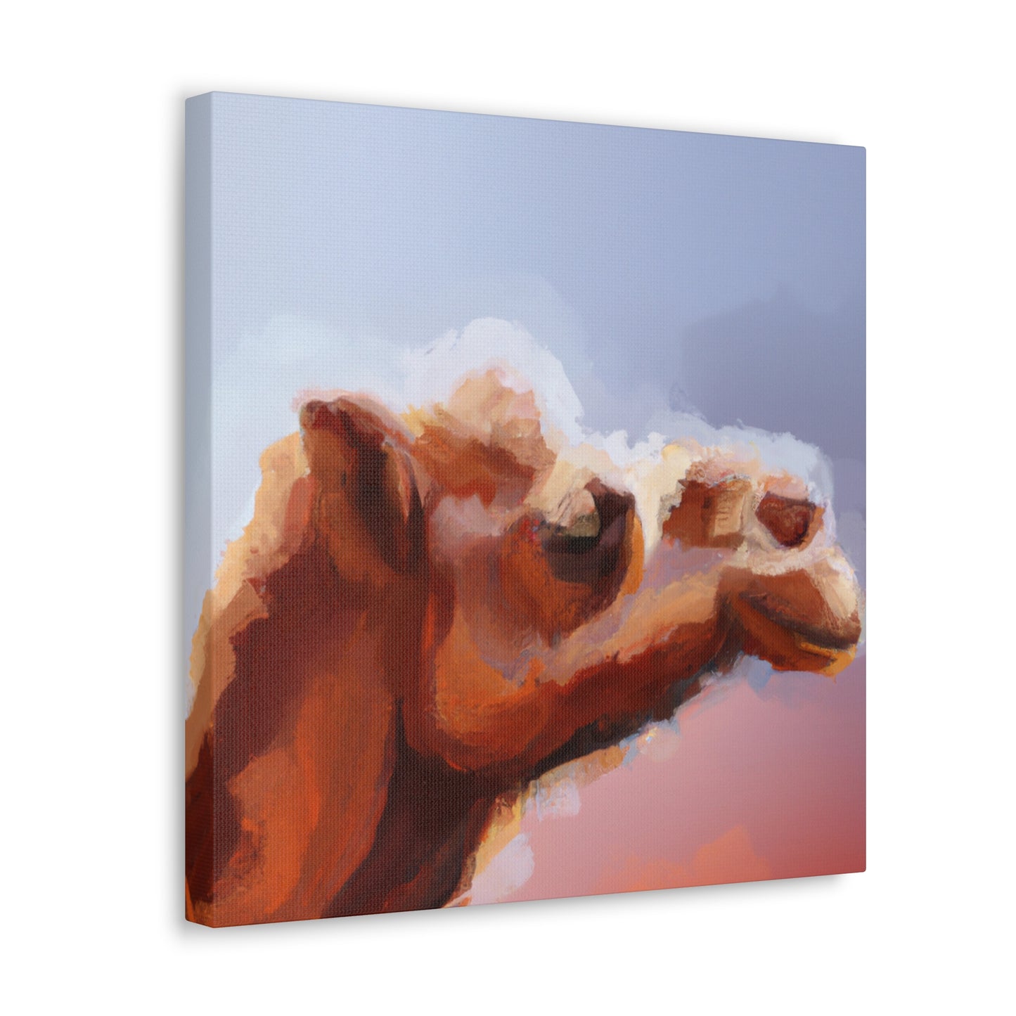 Dromedary Camel Oasis - Canvas