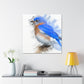 Divine Bluebird Beauty - Canvas