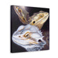 Bearded Dragon Beauty - Canvas