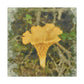 Chanterelle Impressionism - Canvas