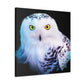 Snowy Owl Majesty - Canvas