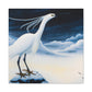 Snowy Egret Splendor - Canvas