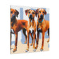 Rhodesian Ridgeback Reflection - Canvas