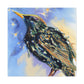 "European Starling Portrait" - Canvas