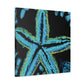 Starfish of Expressionism - Canvas