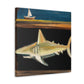 Shark Among Dreams - Canvas