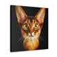 Abyssinian Reflection Realism - Canvas