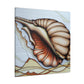 "Sea Shell Symphony" - Canvas