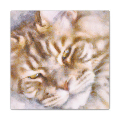 Maine Coon Impression - Canvas