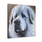 "Proud Pyrenees Portrait" - Canvas