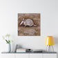 Armadillo Impressionism - Canvas