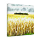 "Golden Harvest Splendor" - Canvas