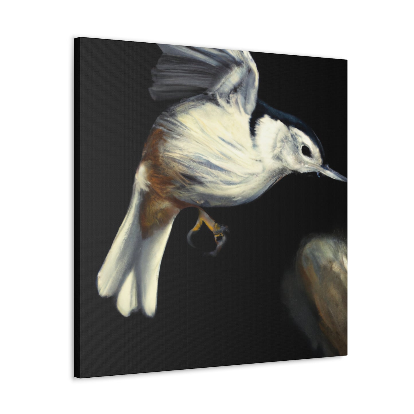 White-breasted Nuthatch Wonder - Canvas