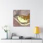 Glorious Carolina Wren - Canvas