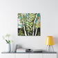 Birch Tree Grandeur - Canvas