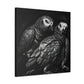 African Greys Regal - Canvas