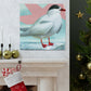 Arctic Tern Brilliance - Canvas