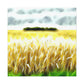 "Golden Harvest Splendor" - Canvas