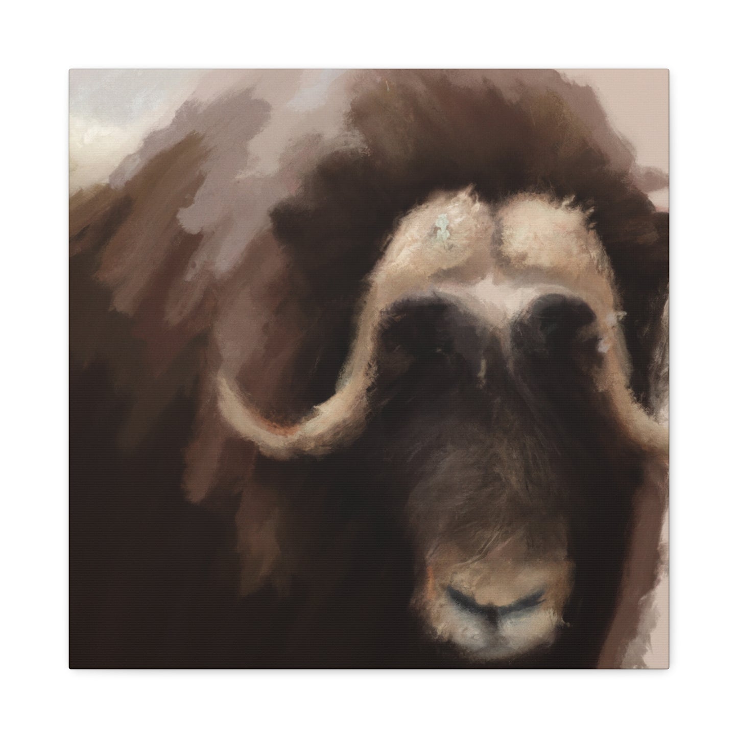 Musk Ox Majesty - Canvas