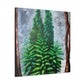 "Ancient Sequoia Splendor" - Canvas