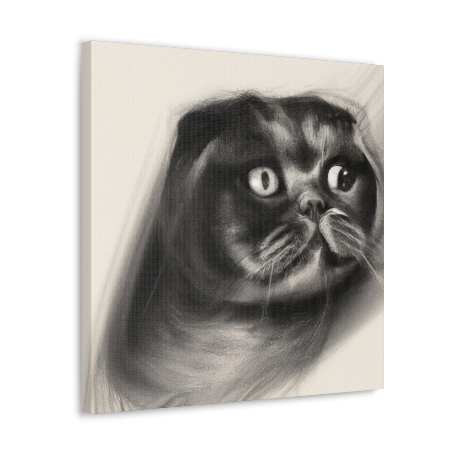 Scottish Fold Innocence - Canvas