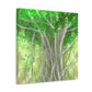 Banyan Tree Illusionist - Canvas