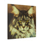 Maine Coon Majesty - Canvas