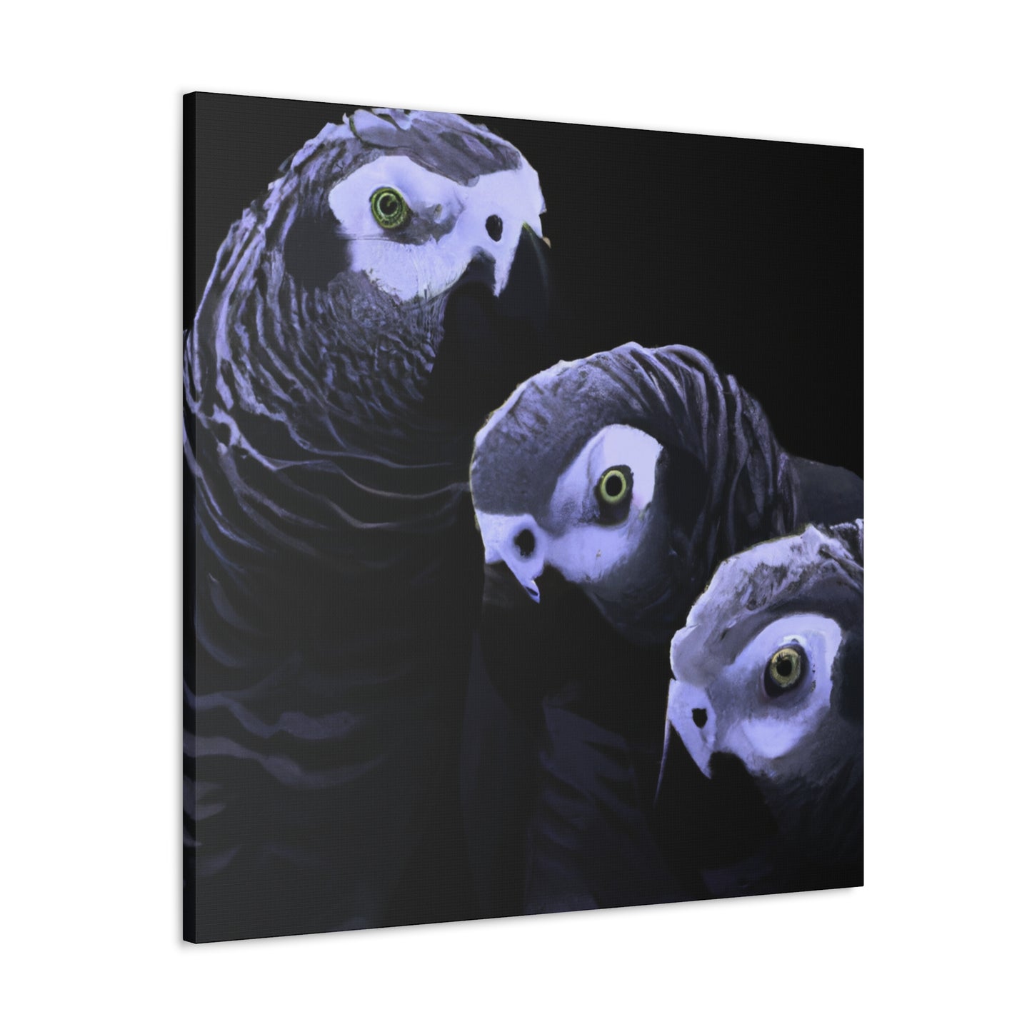 "African Greys Zenith" - Canvas