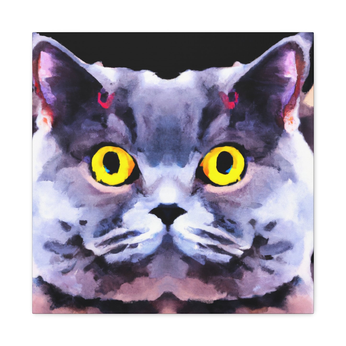 "Cute British Shorthair" - Canvas