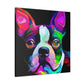 Adorable Boston Terrier - Canvas