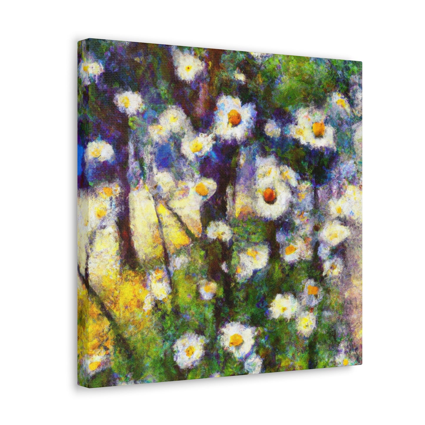 Daisy in Splendour. - Canvas