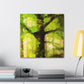 "Beech Tree, Serene Beauty" - Canvas