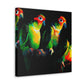 "Conures in Colorful Hues" - Canvas