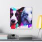 Border Collie Portrait - Canvas