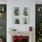 Pine Tree Enchantment - Canvas