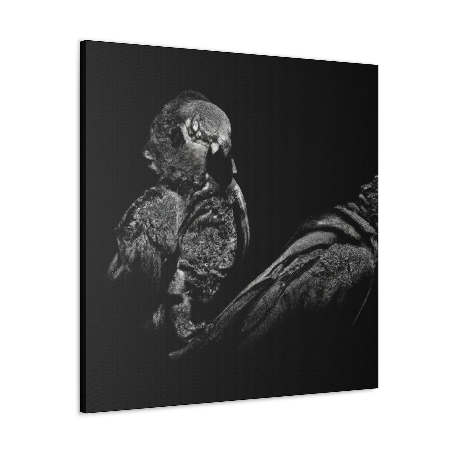 Pionus in Elegance. - Canvas