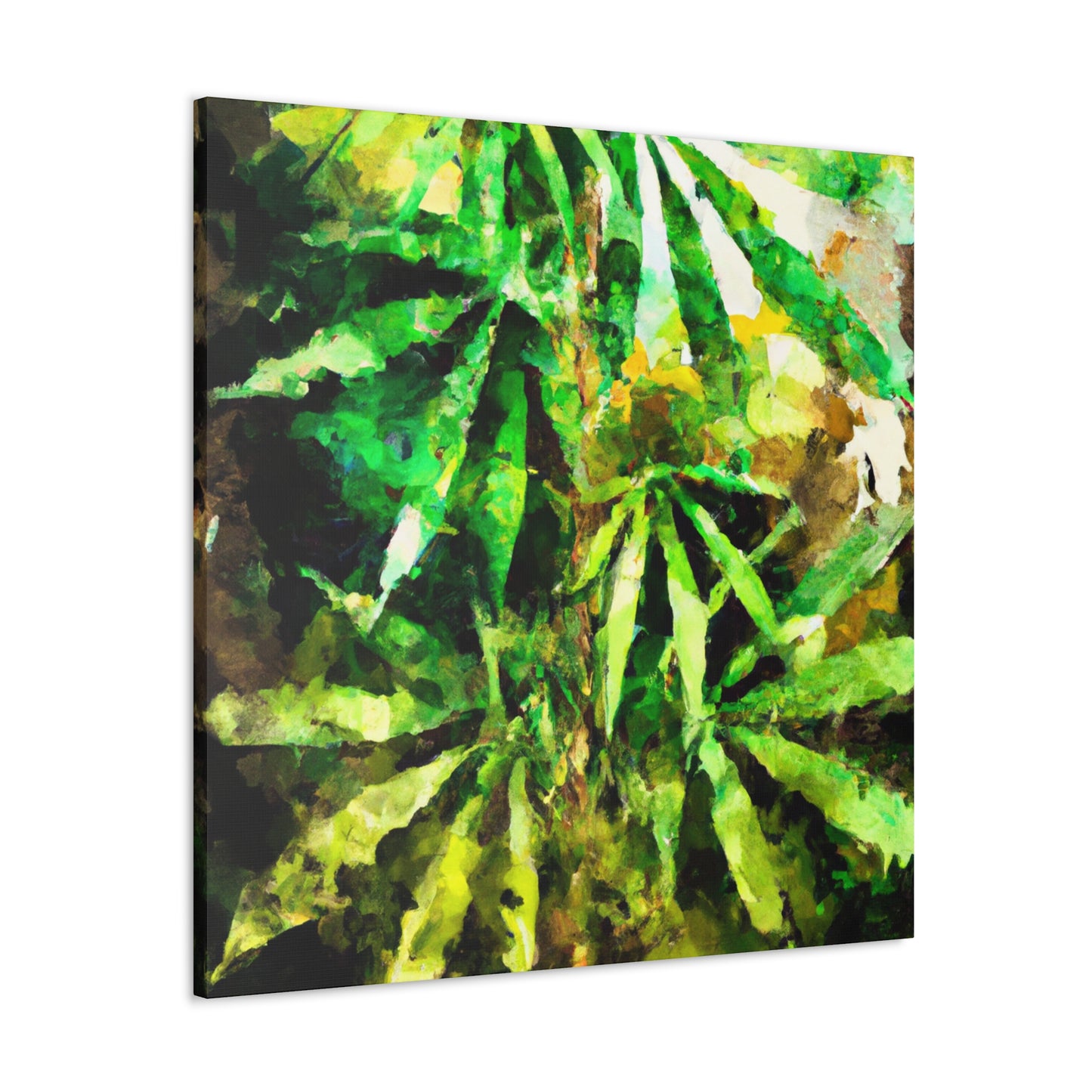 Cannabis Sativa Impression - Canvas