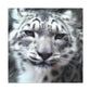 "Snow Leopard Impressionism" - Canvas