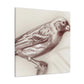 House Finch in Abstraction - Canvas