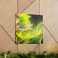 Dogwood Blossoming Beauty - Canvas