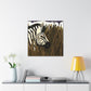 "Zebra in Transition Space" - Canvas