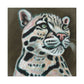 The Clouded Leopard - Canvas