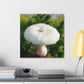 White Mushroom Brilliance - Canvas