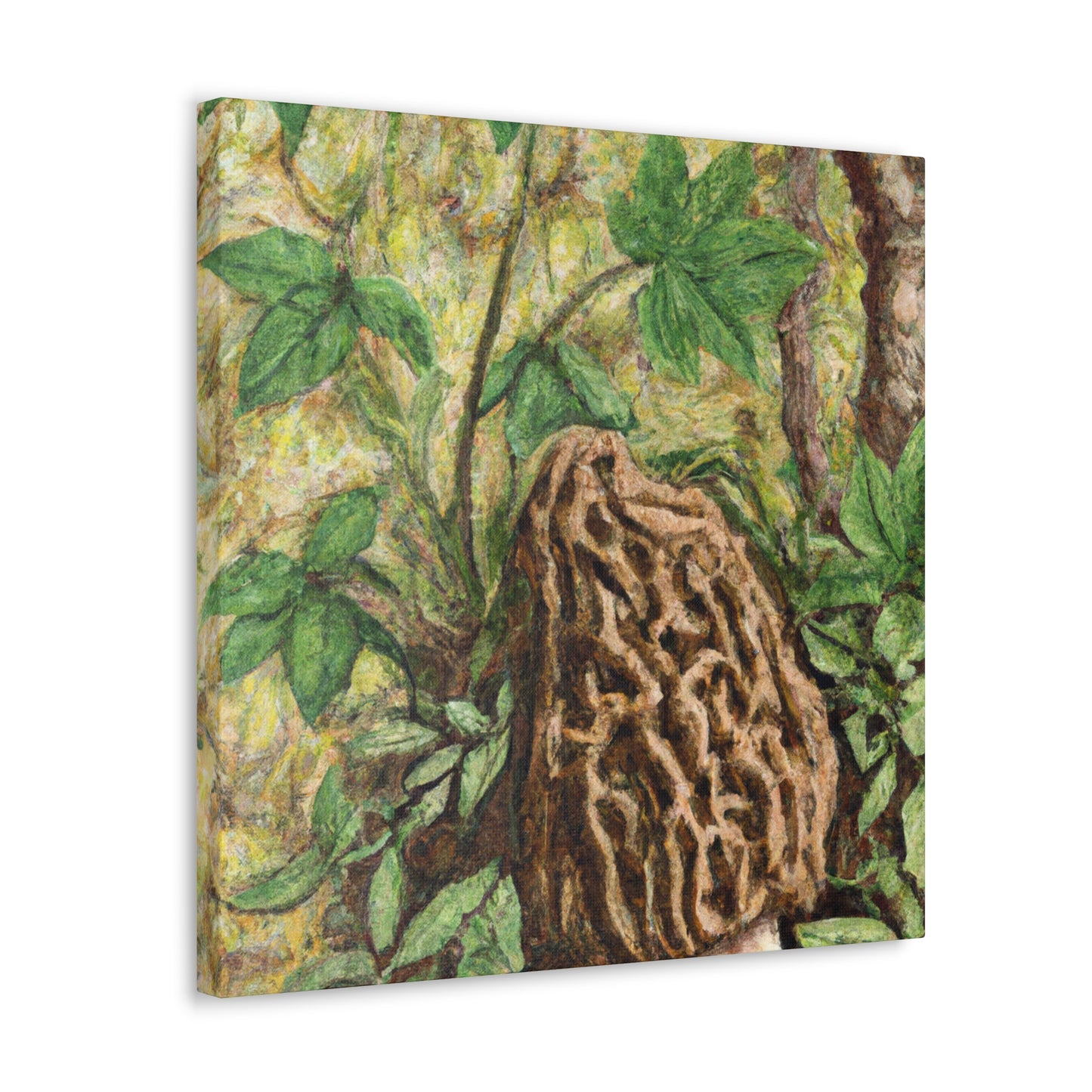 Morel in Splendour. - Canvas