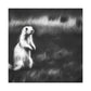 Prairie Dog Impressionism - Canvas