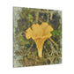 Chanterelle Impressionism - Canvas