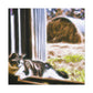 "Barn Cat Slumbering" - Canvas