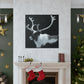 Reindeer in Realism - Canvas