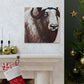 Musk Ox Splendor. - Canvas