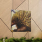 Echidna Dreamscape Scene - Canvas